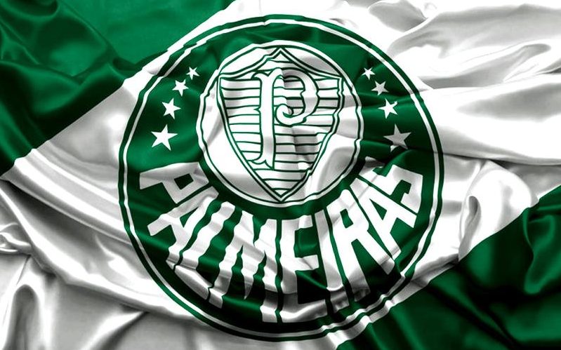 Palmeiras Online on X: SEGUE O LÍDER.💚🐷 #palmeiras